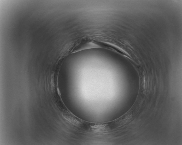X0000059830516200511041749