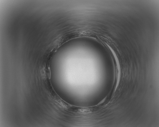 X0000059830520200511041749