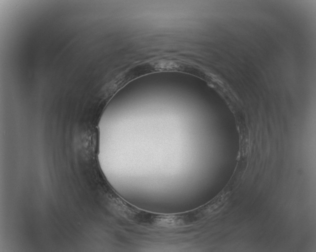 X0000059830521200511041749