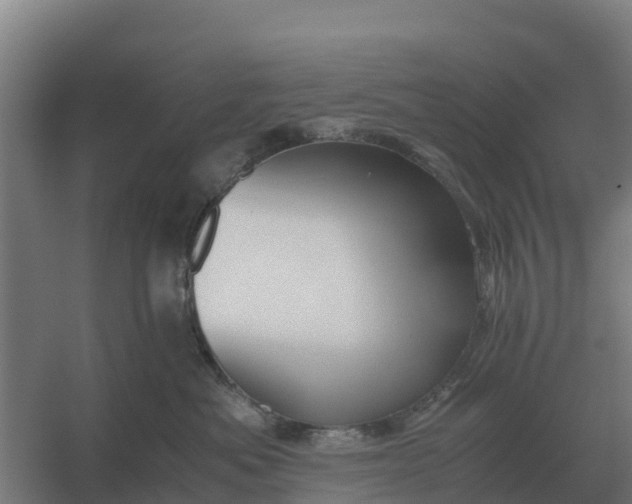X0000059830525200511041749