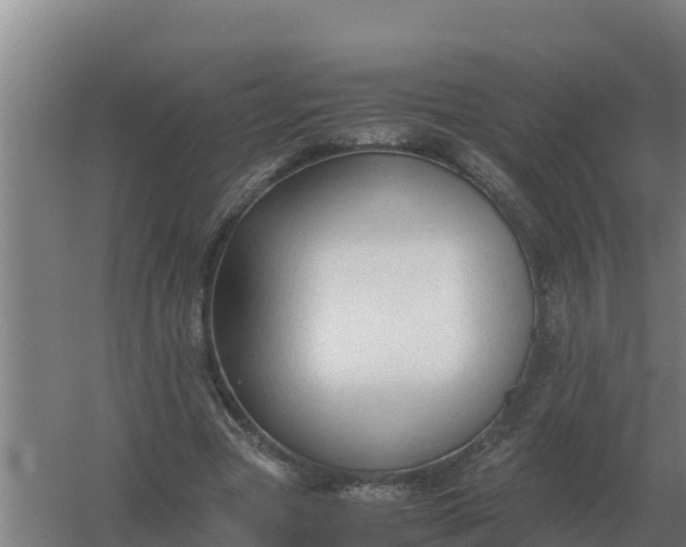X0000059830537200511041748