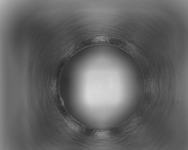 X0000059830560200511041749