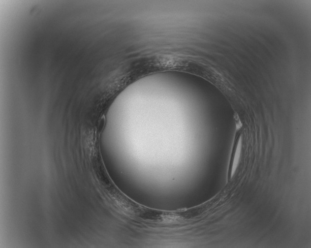 X0000059830605200511041748