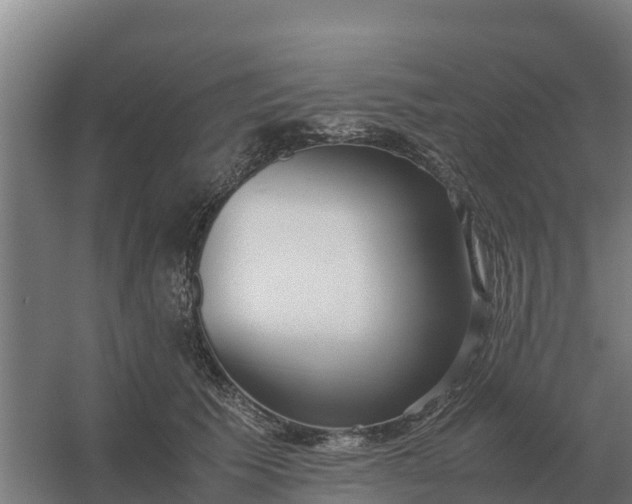 X0000059830609200511041748