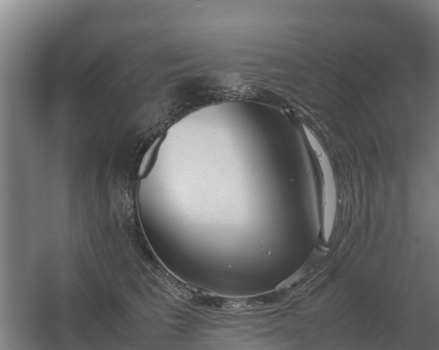 X0000059830613200511041748
