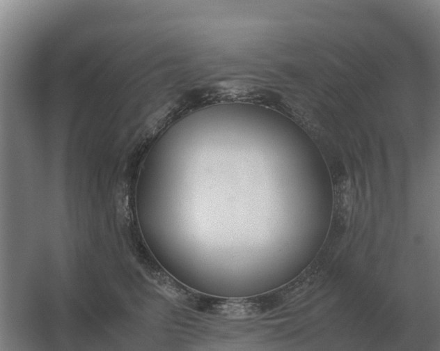 X0000059830615200511041747