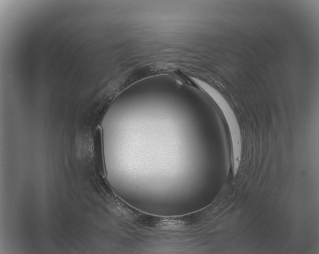 X0000059830617200511041747