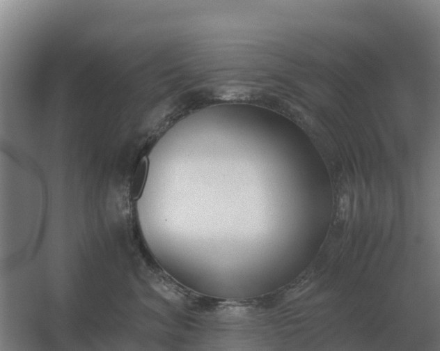 X0000059830620200511041747