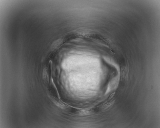 X0000059830623200511041747