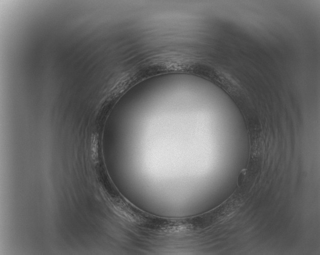 X0000059830646200511041747