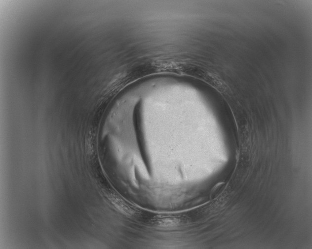 X0000059830658200511041747