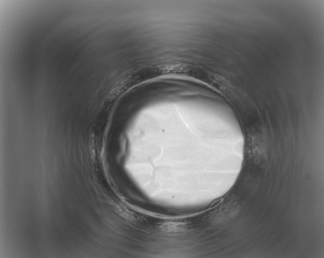 X0000059830664200511041747
