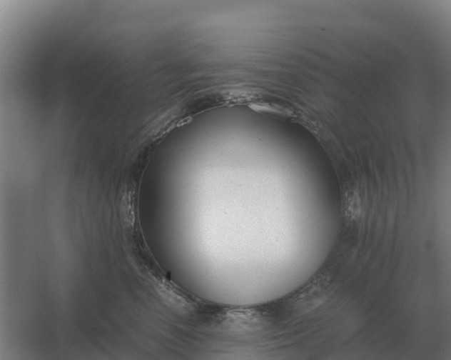 X0000059830666200511041747