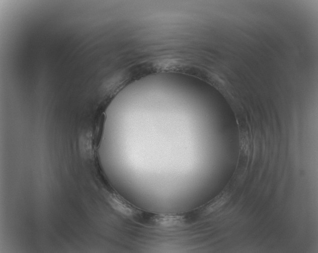X0000059830670200511041747