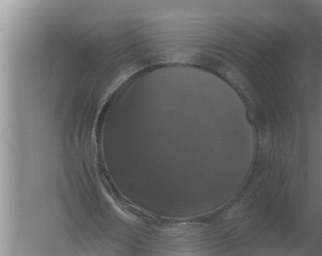 X0000059830674200511041746