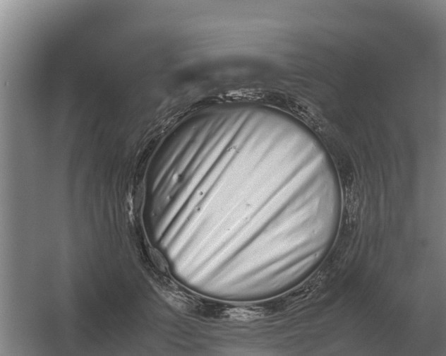 X0000059830703200511041746
