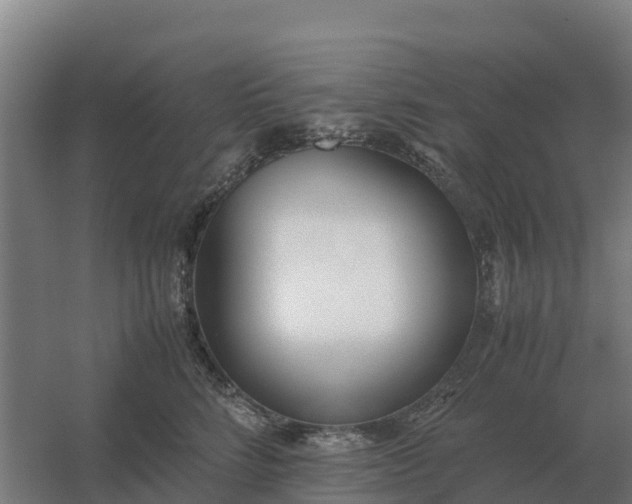 X0000059830712200511041746