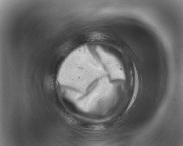 X0000059830715200511041746
