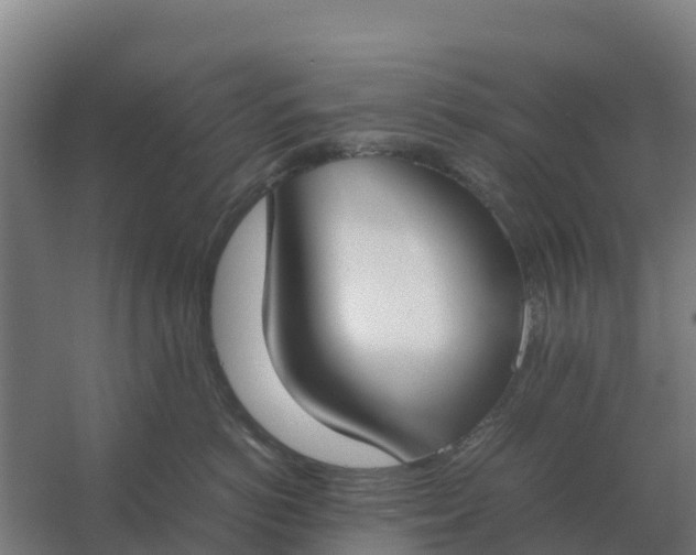 X0000059830766200511041746