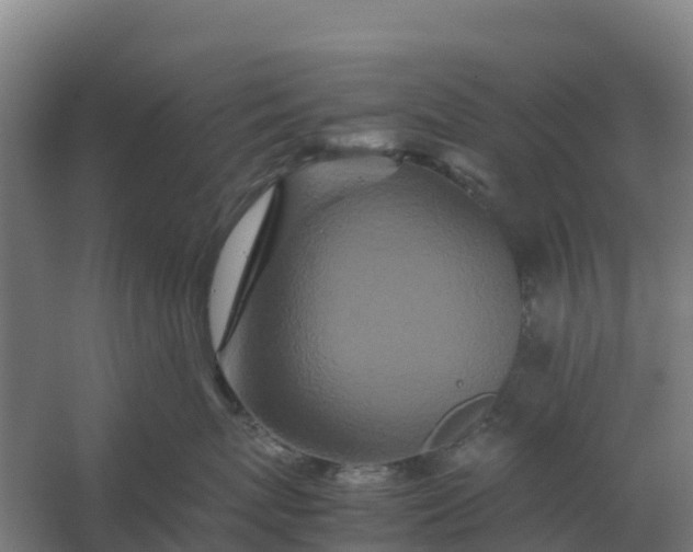 X0000059830767200511041746