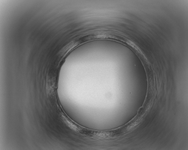 X0000059830801200511041744