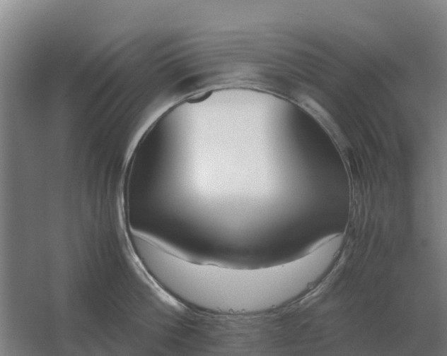 X0000059830812200511041744