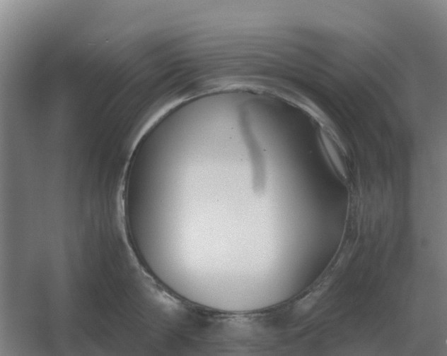 X0000059830814200511041744