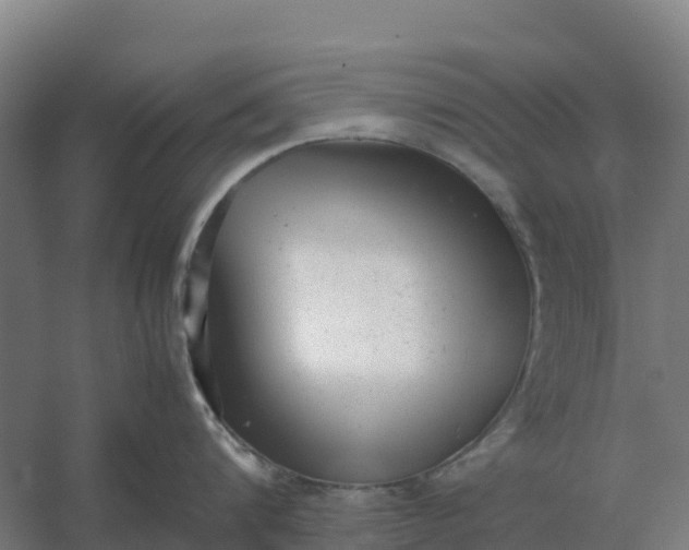 X0000059830816200511041744