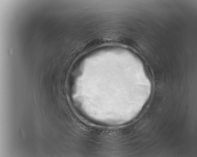 X0000059830817200511041743