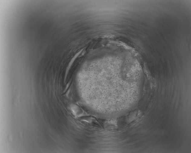 X0000059830818200511041743