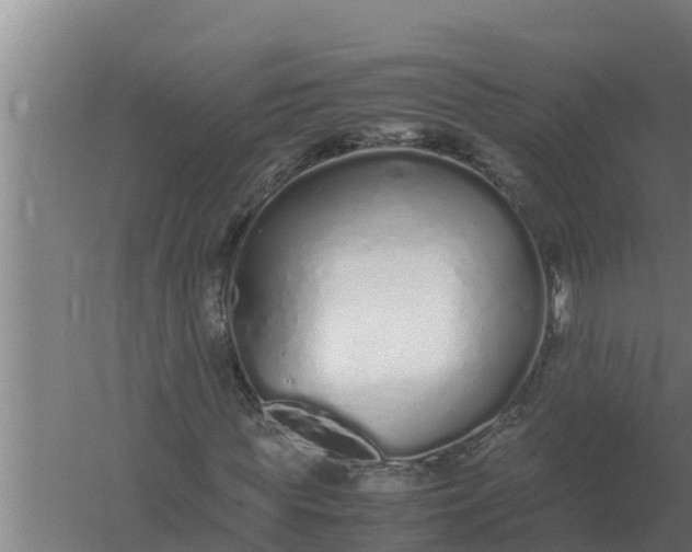 X0000059830819200511041743