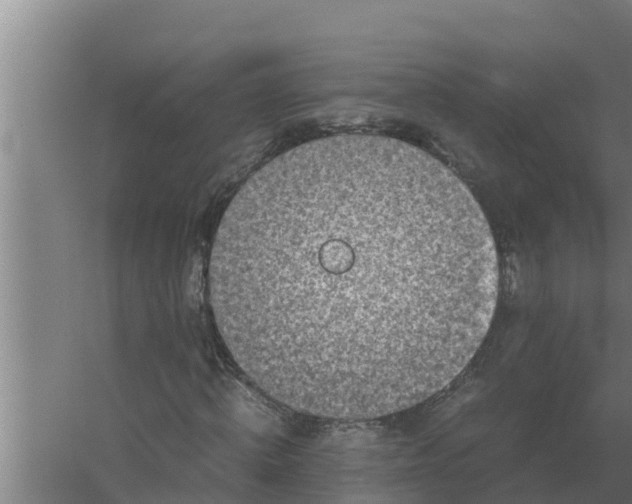 X0000059830820200511041743