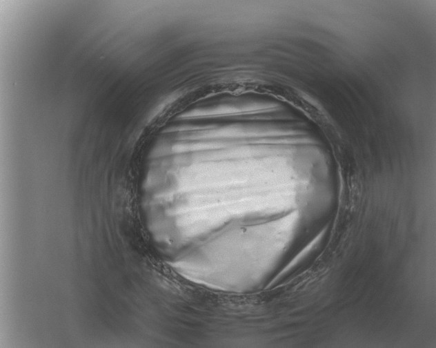 X0000059830823200511041743