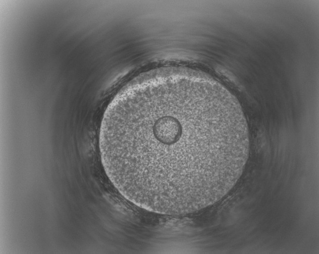 X0000059830824200511041743