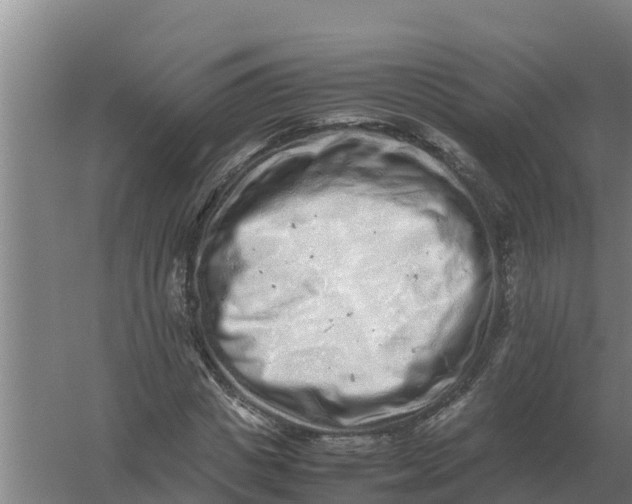 X0000059830825200511041743