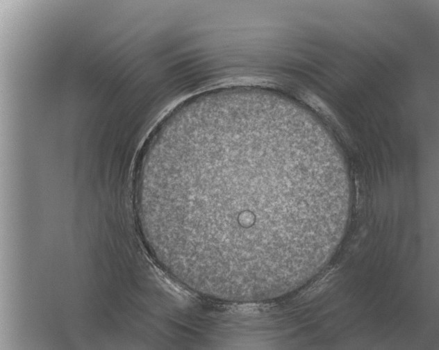 X0000059830828200511041743