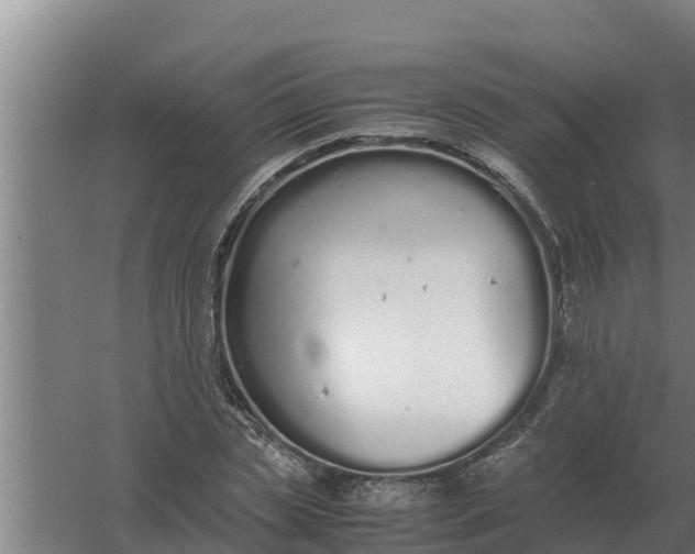 X0000059830829200511041743