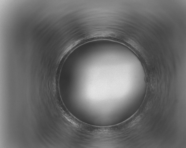 X0000059830834200511041744