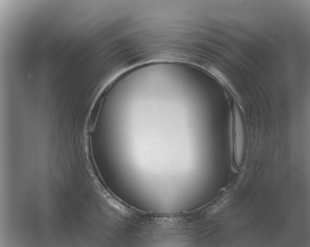 X0000059830854200511041744