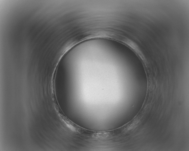 X0000059830858200511041744