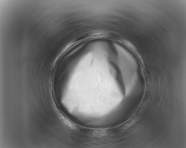 X0000059830859200511041744