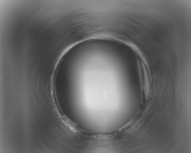 X0000059830862200511041744