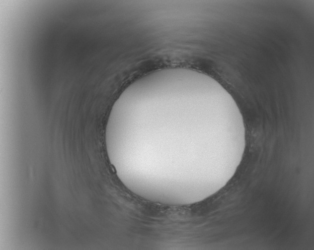 X0000059830865200511041743