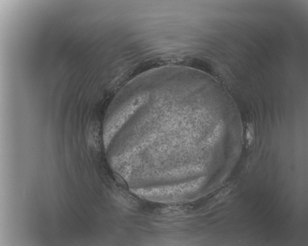 X0000059830867200511041743