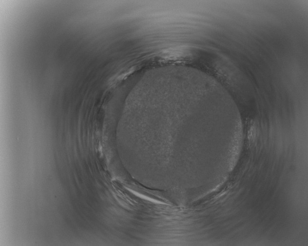 X0000059830868200511041743