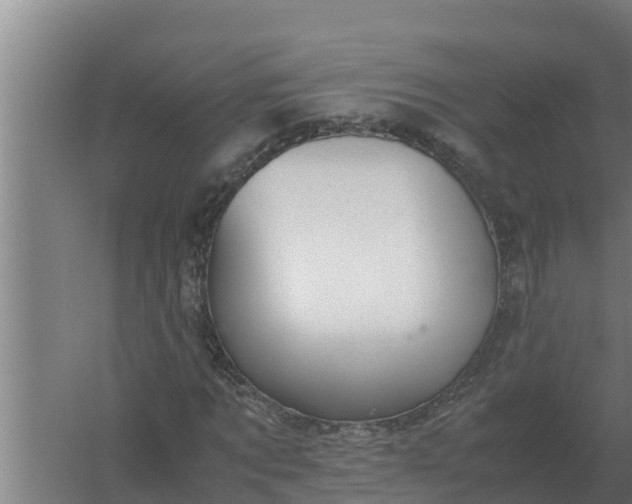 X0000059830869200511041743