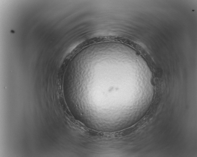 X0000059830871200511041743