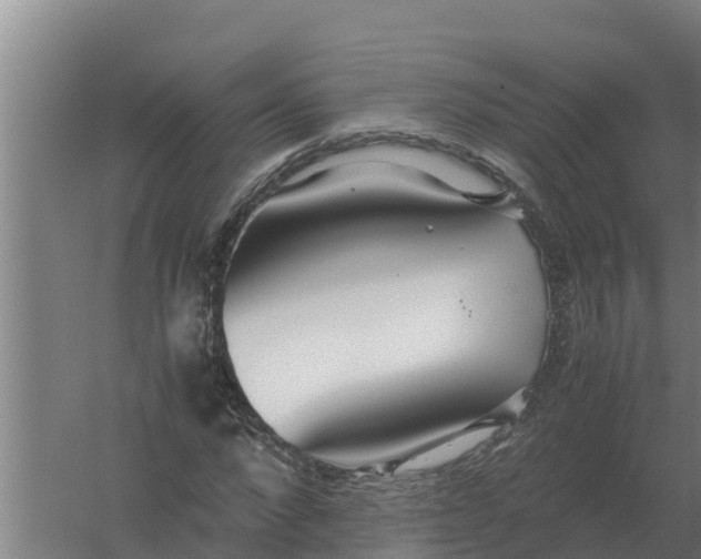 X0000059830872200511041743