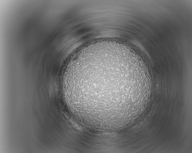 X0000059830874200511041743