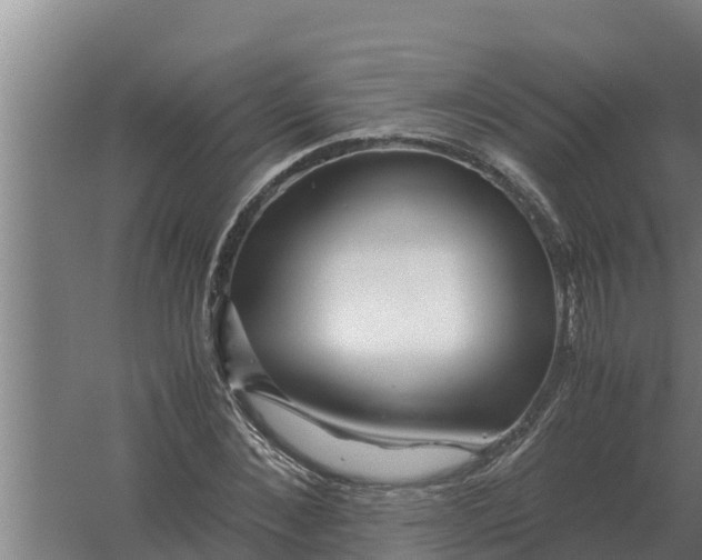 X0000059830876200511041743